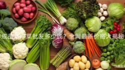 半成品菜凈菜批發多少錢？全網最新價格大揭秘！