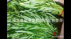 上海半成品凈菜批發供應商推薦