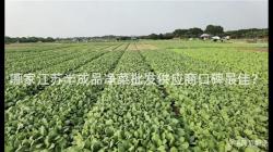 哪家江蘇半成品凈菜批發供應商口碑最佳？