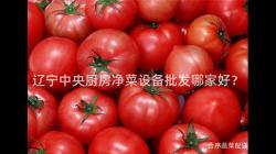 遼寧中央廚房凈菜設備批發哪家好？
