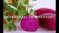 農批市場凈菜有哪些？全面了解農批凈菜品種！