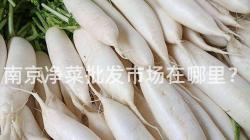 南京凈菜批發市場在哪里？