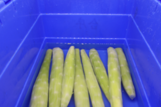 配送到家：凈菜配送服務新紀元 —— 合序重慶蔬菜配送公司的便捷生活之道