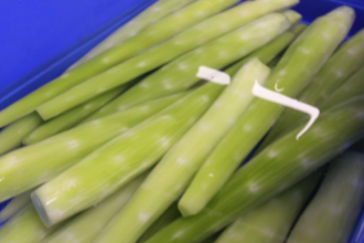 重慶凈菜加工配送公司——合序重慶凈菜配送的領先者