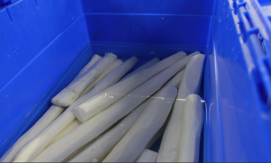 合序蔬菜配送:重慶生鮮食材供應商優選,新鮮直達更安心 合序蔬菜配送:重慶生鮮食材供應商優選,新鮮直達更安心
